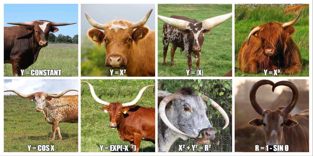 Texas Math